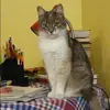 Отзыв от Виктория Панина